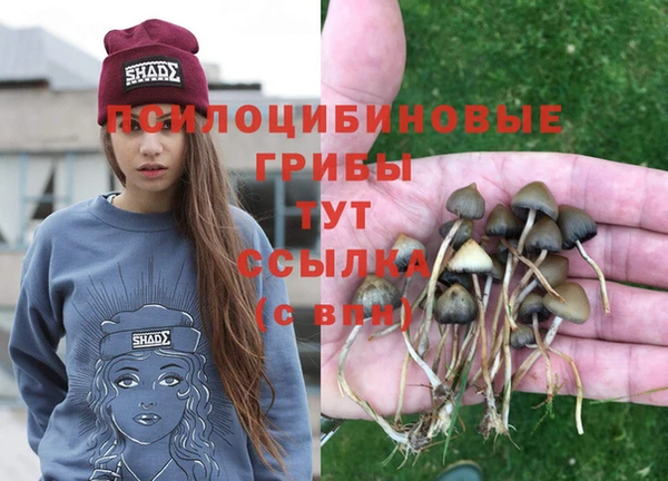 Альфа ПВП Алексин