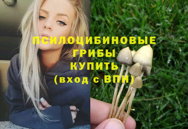 Альфа ПВП Алексин