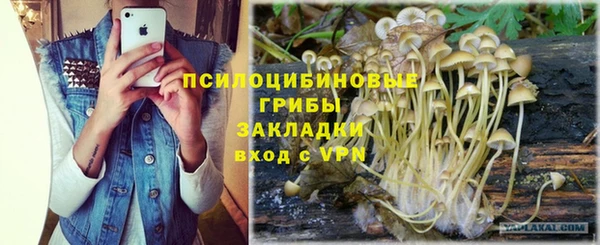Альфа ПВП Алексин